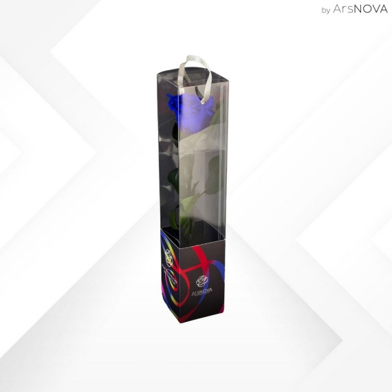 TRANSPARENT BOX d.6 h.30 - SCENTED ROSE WITH STEM - BLU