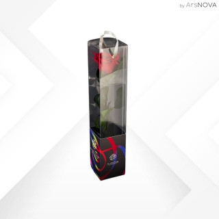 TRANSPARENT BOX d.6 h.30 - SCENTED ROSE WITH STEM - RED
