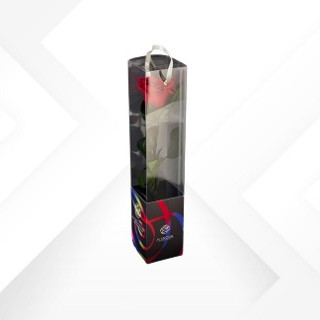 TRANSPARENT BOX d.6 h.35 - SCENTED ROSE WITH STEM - PACKAGING BLACK - RED