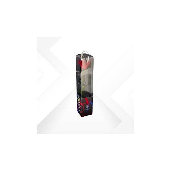 TRANSPARENT BOX d.6 h.35 - SCENTED ROSE WITH STEM - PACKAGING BLACK - RED
