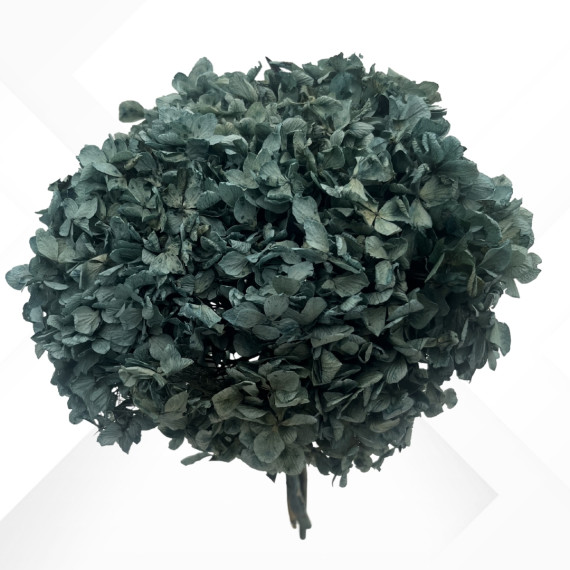 HYDRANGEA STANDARD NUANCED BLUE d.18/22 cm