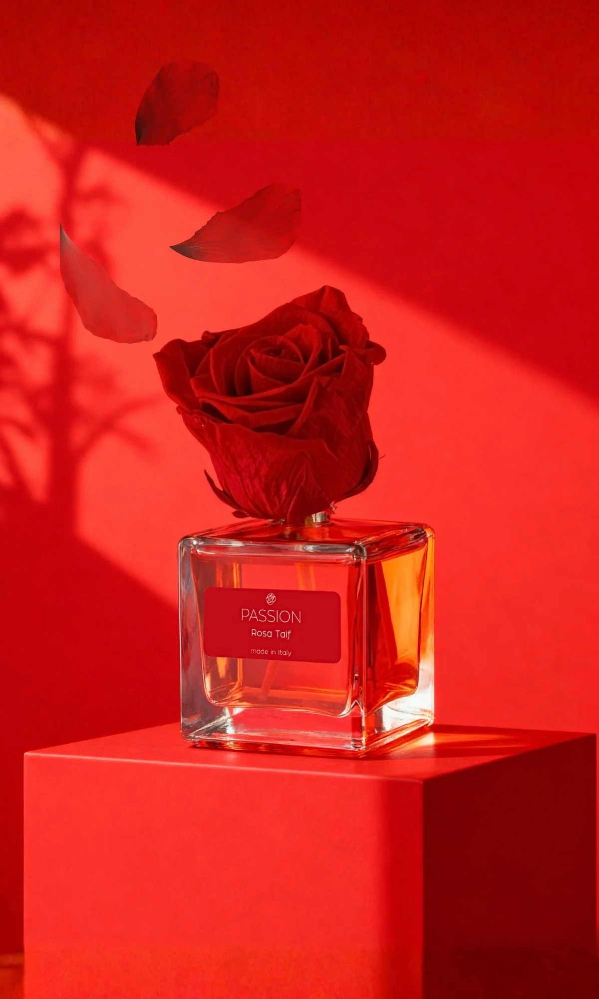 Sensational Roses